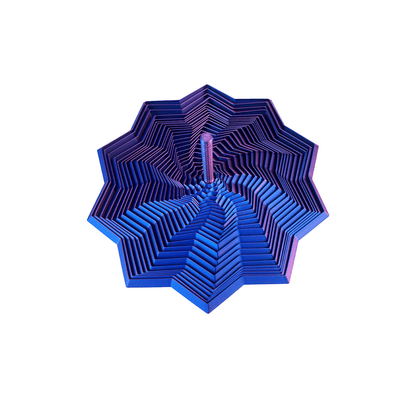 🏆Only $9.99⚡Last Day Promotion!🎁3D Printed Expanded Sensory Fidget Star