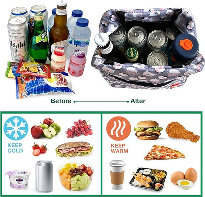 Waterproof Insulated Reusable Lunch Bag Food Drinks Container with Front Padded Pocket Double Zippers For Kids Men Women Work School Picnic